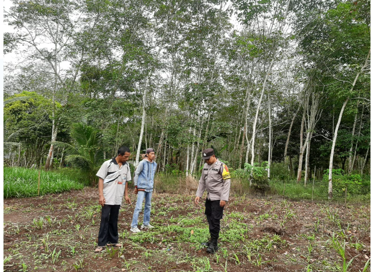 Bhabinkamtibmas Batunadua Dorong Ketahanan Pangan, Sambangi Petani di Siloting