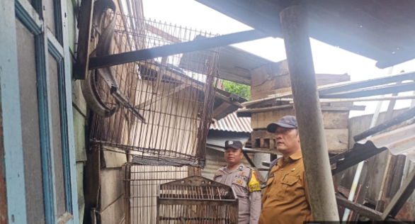 Angin Kencang Rusak Rumah Warga, Bhabinkamtibmas Hutaimbaru Turun Tangan