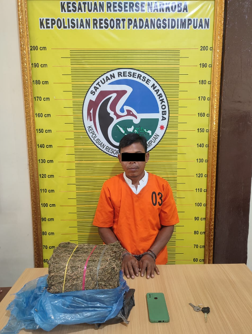 Jelang Nataru  Polisi   Gagalkan Peredaran 4 Kg Daun  ganja di kota Padangsidimpuan