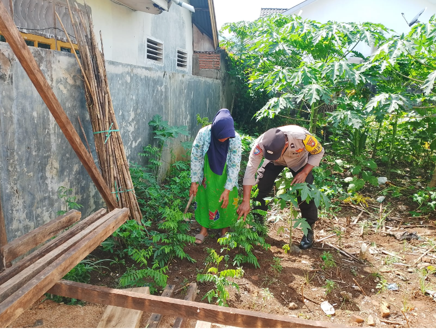 Bhabinkamtibmas Aipda Supriono ajak warga ujung Padang  bercocok tanam di pekarangan rumah 
