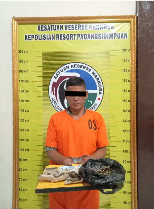 Berantas Narkoba di Lingkungan Pendidikan, Polres Padangsidimpuan Tangkap Pengedar Ganja