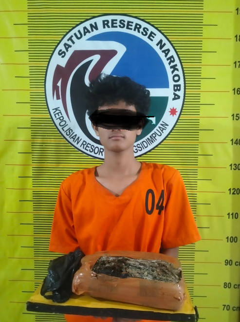 Berkat Laporan Warga, Pemuda Asal Tapanuli Selatan Ditangkap dengan 1 Kg Ganja