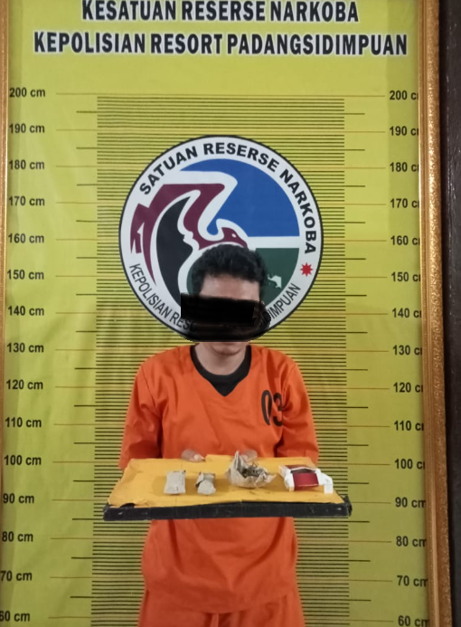 Polisi Padangsidimpuan Ringkus Pengedar Ganja, Berhasil Amankan 17,78 Gram Barang Bukti
