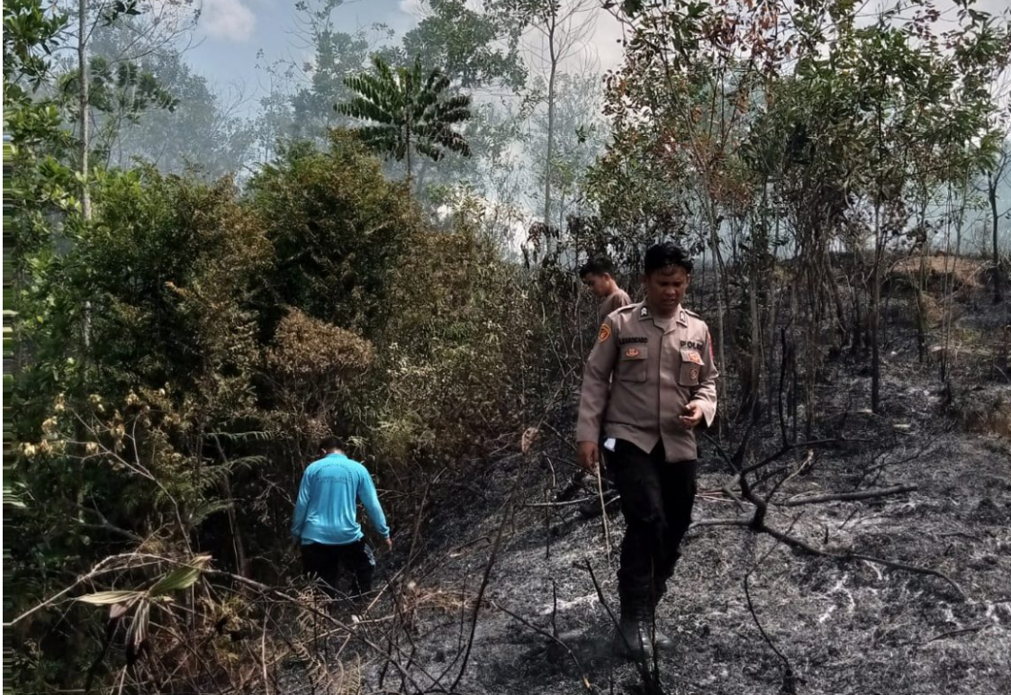 Kebakaran lahan di gunung setan kota PSP Polisi dan petugas damkar Berjibaku padamkan Api