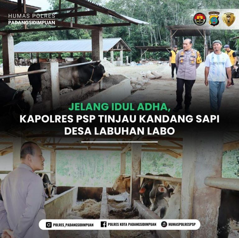 Kapolres Padangsidimpuan Sambangi Peternak Sapi Jelang Idul Adha